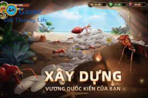 code vương quốc kiến